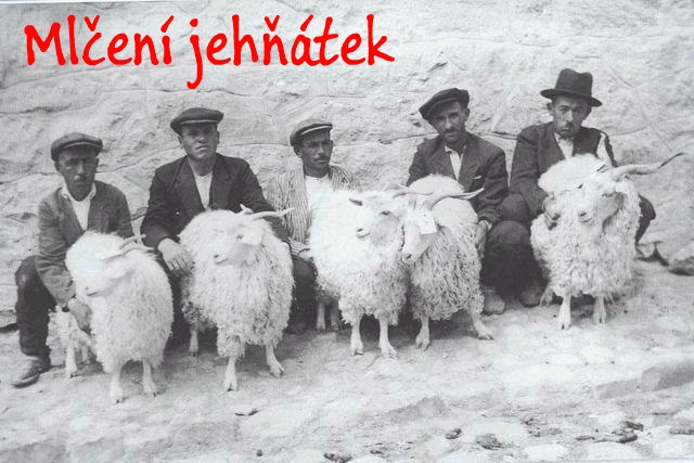 mlceni_jehnatek.jpg mlceni_jehnatek.jpg