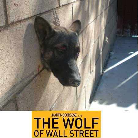 wolf.JPG wolf.JPG
