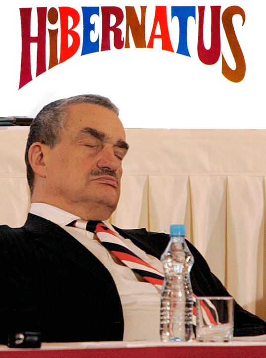Hibernatus.jpg Hibernatus.jpg