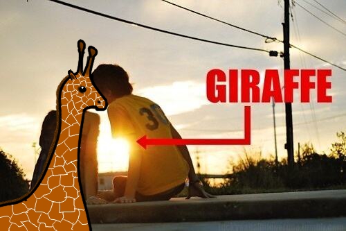 3854Giraffe.jpg