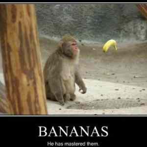 Obrázek '-Bananas-      15.09.2012'