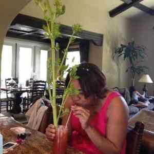 Obrázek '-Bloody Mary-      07.09.2012'