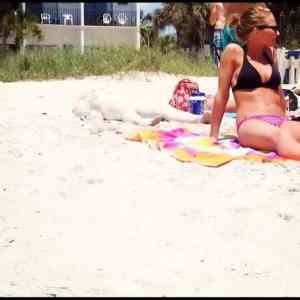 Obrázek '-Body on the beach-      15.11.2012'