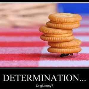 Obrázek '-Determination-      05.12.2012'