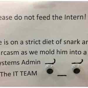 Obrázek '-Do&nbsp;Not&nbsp;Feed&nbsp;The&nbsp;Intern-&nbsp;&nbsp;&nbsp;&nbsp;&nbsp;&nbsp;11.10.2012'