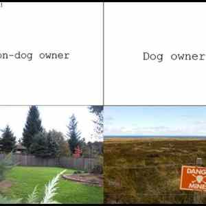 Obrázek '-Dog-      24.09.2012'