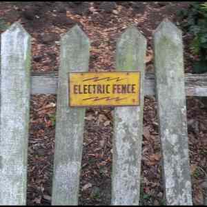Obrázek '-Electric fence-      16.10.2012'