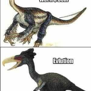 Obrázek '-Evolution&nbsp;-&nbsp;Stahp-&nbsp;&nbsp;&nbsp;&nbsp;&nbsp;&nbsp;15.09.2012'