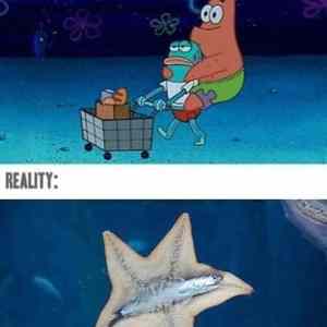 Obrázek '-Expectation-reality-      14.09.2012'
