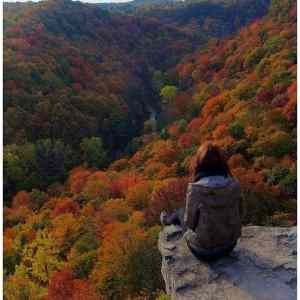 Obrázek '-Fall is here-      12.10.2012'