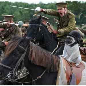 Obrázek '-General-      26.10.2012'