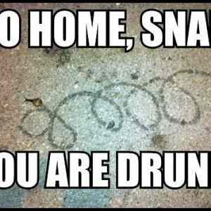 Obrázek '-Go home snail - you are drunk-      21.10.2012'