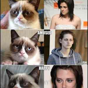 Obrázek '-Grumpy cat does Kristen Stewart impressions-      13.12.2012'