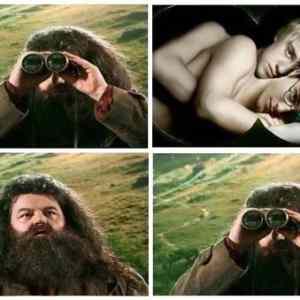 Obrázek '-Hagrid-&nbsp;&nbsp;&nbsp;&nbsp;&nbsp;&nbsp;02.10.2012'