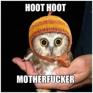 Obrázek '-Hoot-      01.10.2012'