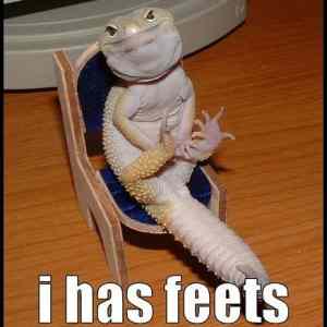 Obrázek '-I has feets-      18.11.2012'