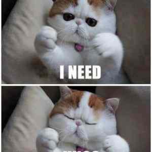 Obrázek '-I need-      18.10.2012'