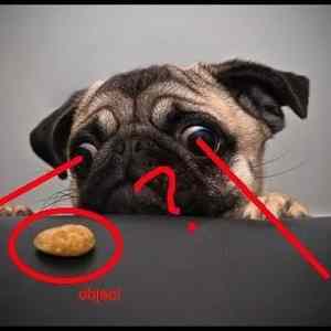 Obrázek '-I think he wants it-      30.11.2012'