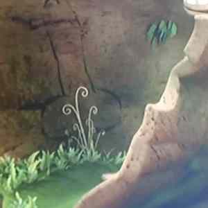 Obrázek '-King Willi-'