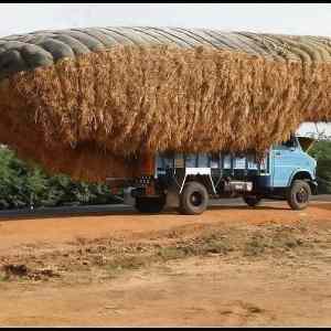 Obrázek '-Like a driver boss-      23.11.2012'