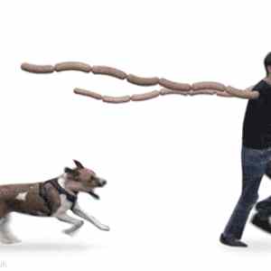 Obrázek '-Man&nbsp;running-&nbsp;&nbsp;&nbsp;&nbsp;&nbsp;&nbsp;21.11.2012'