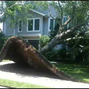 Obrázek '-Meanwhile in USA-      07.12.2012'