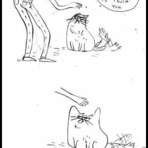 Obrázek '-My cats attitude lately-      18.11.2012'