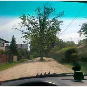 Obrázek '-Oh&nbsp;road-&nbsp;&nbsp;&nbsp;&nbsp;&nbsp;&nbsp;19.10.2012'