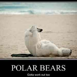 Obrázek '-Polar&nbsp;bears-&nbsp;&nbsp;&nbsp;&nbsp;&nbsp;&nbsp;07.12.2012'