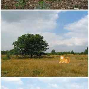 Obrázek '-Proprietary nature-      09.10.2012'