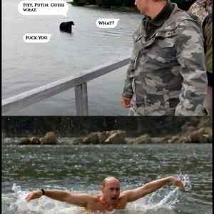 Obrázek '-Putin Vs Bear-      14.12.2012'