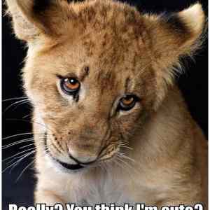 Obrázek '-Really-      05.10.2012'