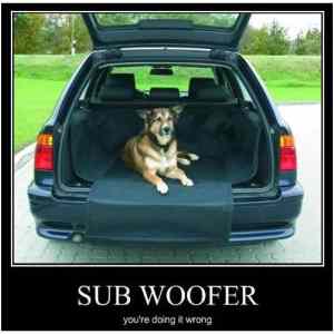 Obrázek '-Sub woofer-      08.11.2012'