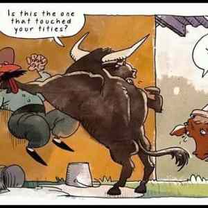 Obrázek '-Thats why Bulls are so mad-      31.10.2012'