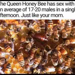 Obrázek '-The Queen Bee-'