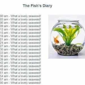 Obrázek '-The fishs diary-'