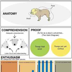 Obrázek '-The science of dogs-      25.10.2012'