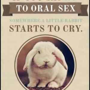 Obrázek '-Think of the bunnies-      16.12.2012'