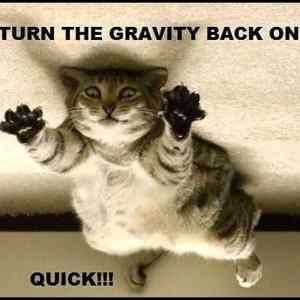 Obrázek '-Turn the gravity-      29.10.2012'