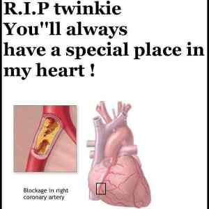 Obrázek '-Twinkies nooo-      21.11.2012'