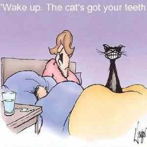 Obrázek '-Wake&nbsp;up-&nbsp;&nbsp;&nbsp;&nbsp;&nbsp;&nbsp;28.08.2012'