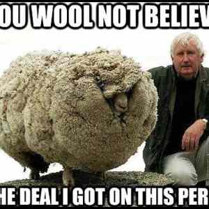 Obrázek '-Wool-&nbsp;&nbsp;&nbsp;&nbsp;&nbsp;&nbsp;18.11.2012'