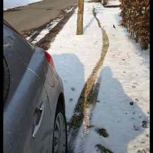 Obrázek '- As -      16.02.2013'