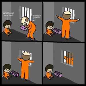 Obrázek '- Because its a cell wall -      30.06.2013'