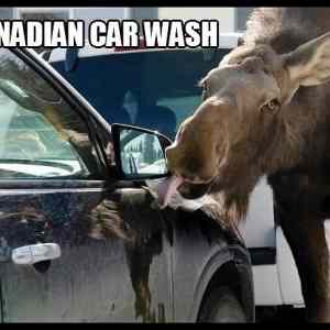 Obrázek '- Canadian car wash -      02.04.2013'