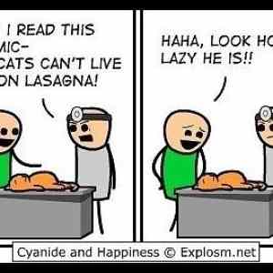 Obrázek '- Cats and lasagna -      28.02.2013'