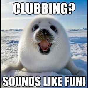 Obrázek '- Clubbing -      30.12.2012'