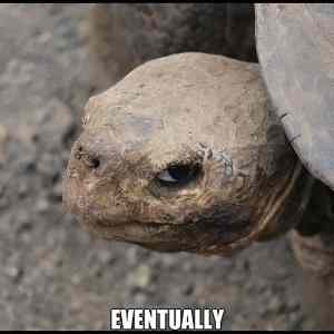 Obrázek '-&nbsp;Eventually&nbsp;-&nbsp;&nbsp;&nbsp;&nbsp;&nbsp;&nbsp;23.01.2013'