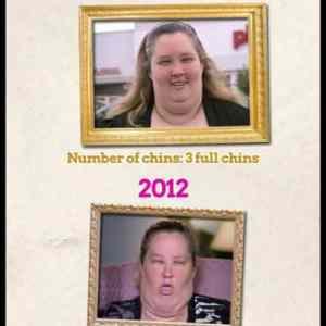 Obrázek '- Evolution of Honey Boo Boos moms chins -      18.02.2013'