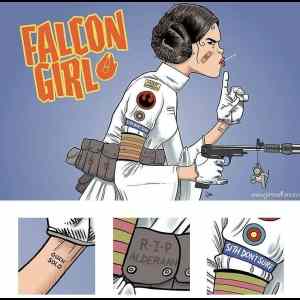 Obrázek '- Falcon girl -      18.01.2013'